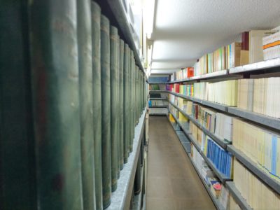 Biblioteca San Fulgencio